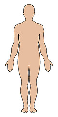 Image showing Man body outline