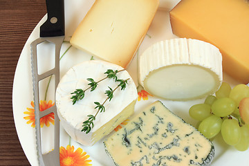 Image showing Cheese varieties