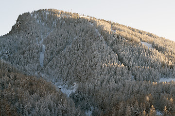 Image showing Winter in Pragelato