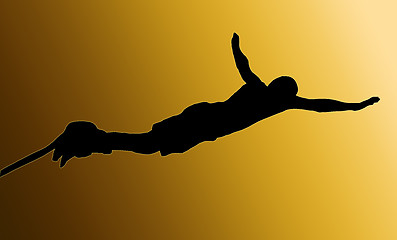 Image showing Golden Back Male Bungee Jumper