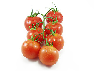 Image showing Tomatoes