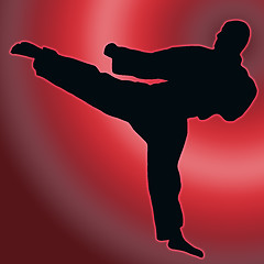 Image showing Red Back Sport Silhouette - Karate Kick