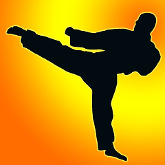 Image showing Gold Orange back Sport Silhouette - Karate Kick