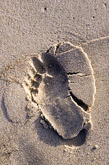 Image showing Bare feet imprint on wet beach sand.