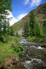 Image showing river