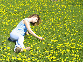 Image showing Girl on dandelion lawn