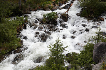 Image showing Mountain river