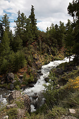 Image showing Mountain river