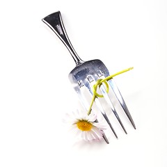 Image showing flower and fork