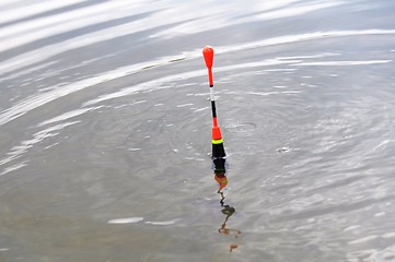 Image showing fishing float or bobber