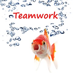 Image showing teamwork