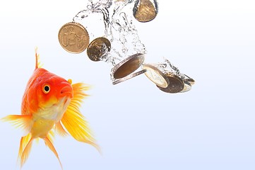 Image showing goldfish and money