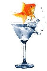 Image showing goldfish in glass water