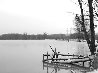 Image showing  lake at winter