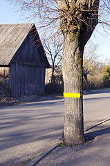 Image showing Reflector on tree near road for safety driving.