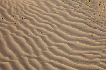 Image showing Wind textures on sand in Sahara