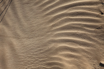 Image showing Wind textures on sand in Sahara