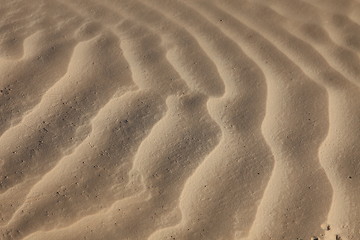 Image showing Wind textures on sand in Sahara