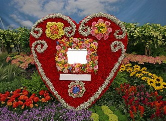 Image showing flowers heart