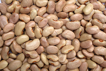 Image showing Brown beans