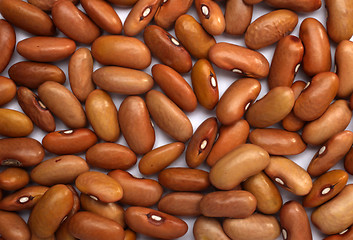 Image showing Brown beans