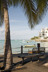 Image showing park benches harbor St. Lawrence Gap Barbados