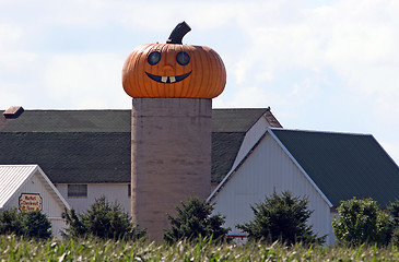 Image showing Giant Pumpkin