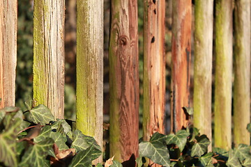 Image showing wooden fence texture