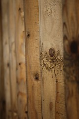 Image showing wooden fence texture