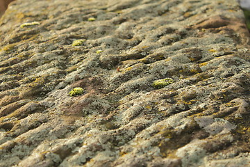 Image showing rock texture