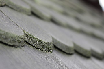 Image showing wooden roof