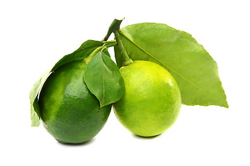 Image showing Two lemons.