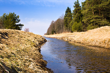 Image showing The small river (spring)