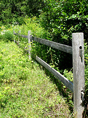 Image showing fence 6