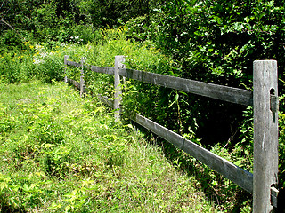 Image showing fence 4