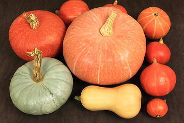 Image showing Pumpkins