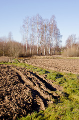 Image showing Plowed fields, grassland and birch trees in autumn