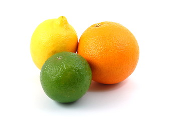 Image showing lemon orange and citron fruit