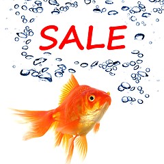 Image showing sale