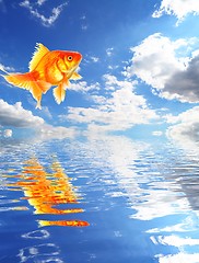 Image showing blue sky and goldfish