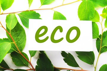 Image showing eco