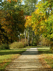 Image showing path in park