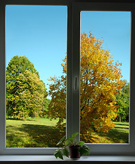 Image showing autumn