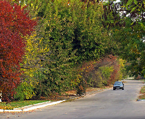 Image showing autumn in town