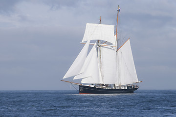 Image showing Tall ship in the sea