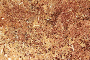 Image showing small animal bedding texture