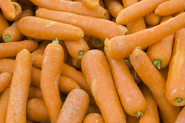 Image showing Carrots