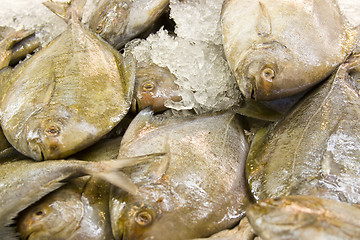 Image showing Fresh fish