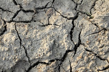 Image showing dry ground texture