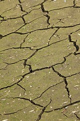 Image showing dry ground texture